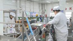 公司已衔接春节前订单超8吨